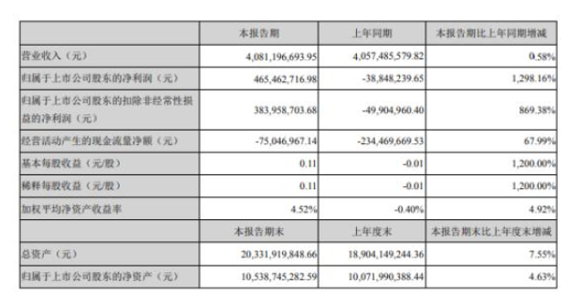 大北农净利润465,462,716.98元，较上年同期扭亏为盈 