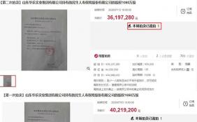 民生人寿1050万股股权降价难逃再度流拍 5.6%股权遭冻结或质押