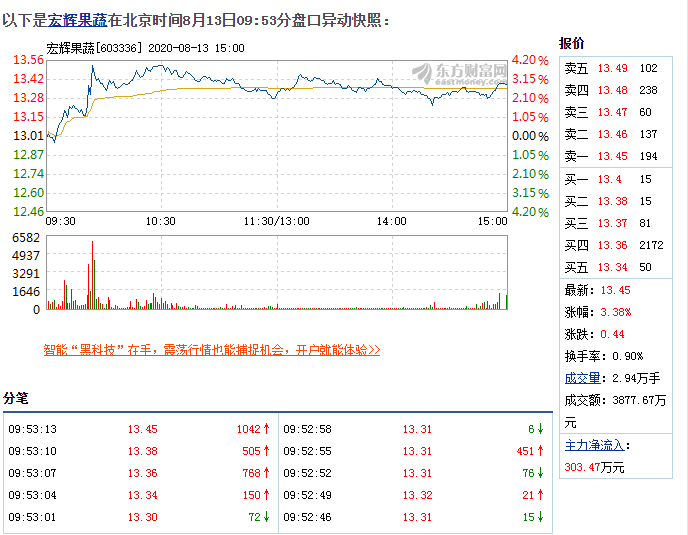 8月13日宏辉果蔬盘中快速上涨，5分钟内涨幅超过2% 
