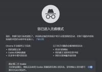 无痕模式下仍能被追踪 谷歌因 Chrome 无痕模式问题面临集体诉讼