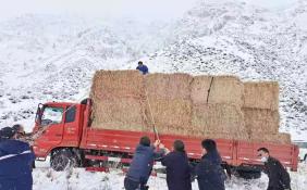 新疆和硕县深夜抗击暴雨雪灾害 地缓解天气灾害对牧民带来的影响