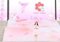 豫记回家，漫步鹤城，第七届中国（鹤壁）樱花文化节盛大举行！