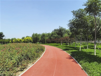 天津空港生态绿廊项目向公众免费开放
