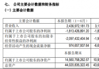 补贴退坡品牌衰落 北汽蓝谷上半年营收同比降21.69%