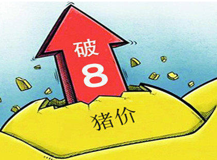 今日猪价再掀“全涨潮” 多地猪价“破8冲9” 