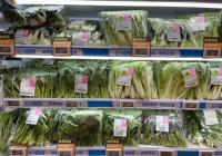 广州生活必需品供应充足 蔬菜价格有所回落