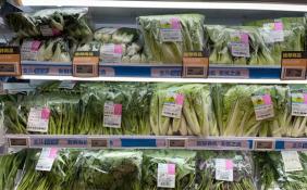 广州生活必需品供应充足 蔬菜价格有所回落