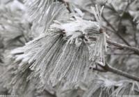 天津发布暴雪橙色预警 出动除雪机械800余台保障公路畅通