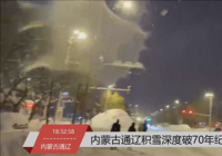 内蒙古通辽连续两日出现特大暴雪 累计降雪量达81.3毫米