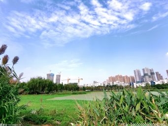 天津市公布第三次国土调查主要数据 湿地林地面积显著增加