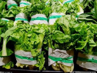 南京市蔬菜供应充足 叶菜价格较上月大幅下降