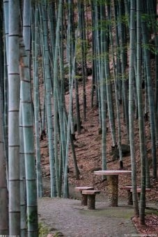 国家林草局：鼓励符合条件的社会资本规范有序设立竹产业发展基金