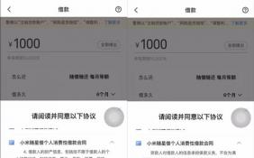 “断直连”大势压顶 留给小米随星借的时间不多了