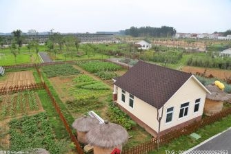 昨天是第八个世界土壤日 中科院南京土壤所：培育耐盐碱植物