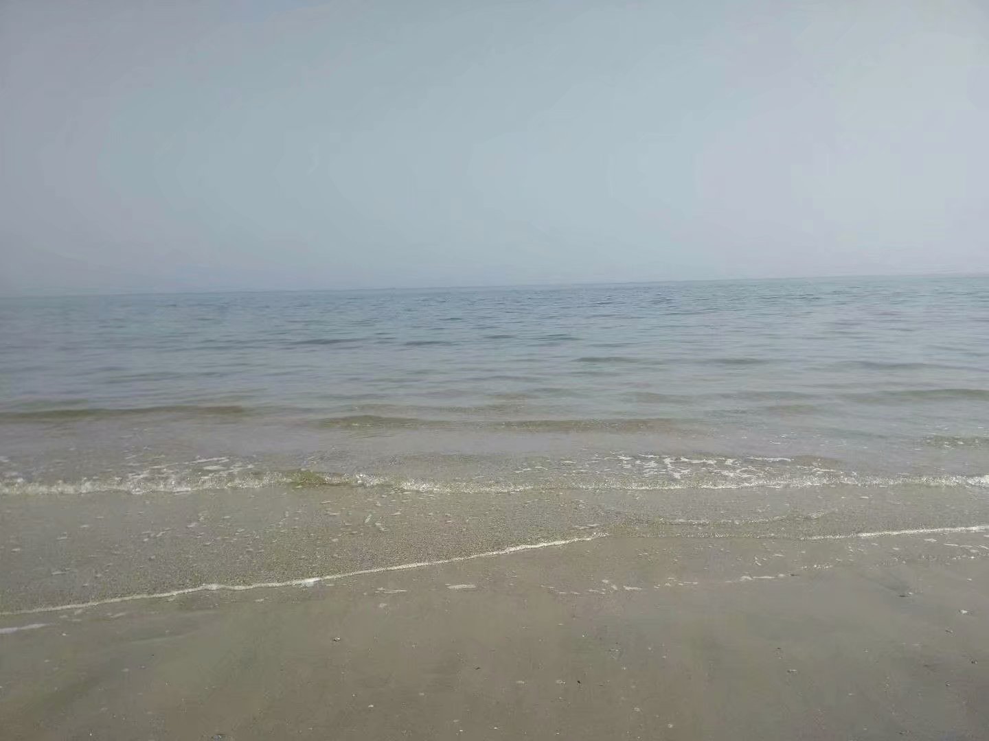 深圳拟出台新政 对重点海洋项目或重大海洋科技成果最高资助1000万元 