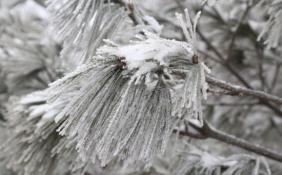 西北华北等地迎降雪 全国大部气温持续偏高