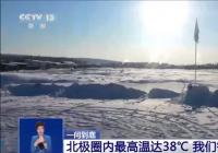 北极小镇测得38℃高温 北极加速升温北极熊还好吗？