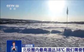 北极小镇测得38℃高温 北极加速升温北极熊还好吗？