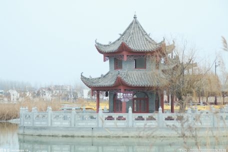 南京市今年建成18个口袋公园以及44个省级绿美村庄 