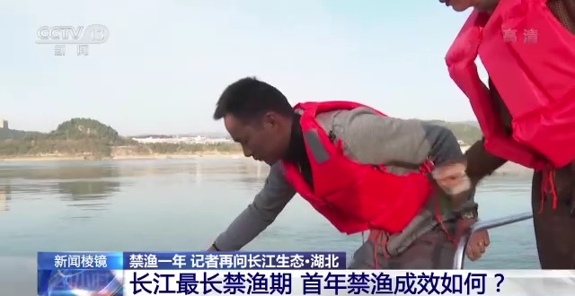 长江最长禁渔期即将达一年 中华鲟种群何日回归？