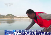 长江最长禁渔期即将达一年 中华鲟种群何日回归？