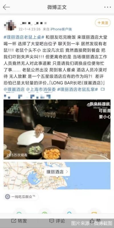 上海一奢华酒店现老鼠上餐台 国际酒店缘何屡现食品安全问题