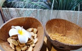 中成药集中带量采购开标 药品最大降幅达82.63%