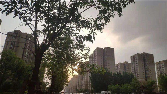 上海出台首个地方保障性租赁住房管理办法 改善多孩家庭租房条件