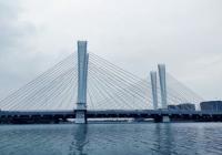 汉南长江大桥今年10月开工 将分流军山长江大桥交通流量