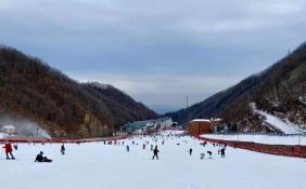 虎年春节近程周边游领跑旅游市场 “家门口”滑雪成最热选项