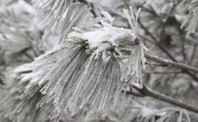 湖北春节期间将有两波雨雪 低温最低-5℃