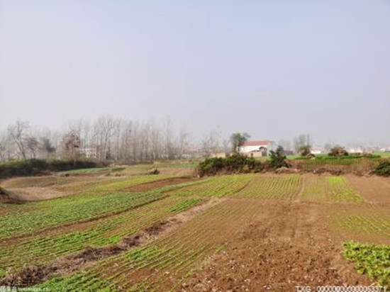  扬州让农田建设“上高速” 累计建设高标准农田超50万亩