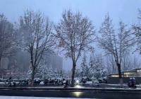 雨雪来势汹汹！甘肃陕西安徽等多地局地迎暴雪