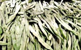 南方地区连续低温雨雪影响 北京蔬菜量价齐升 