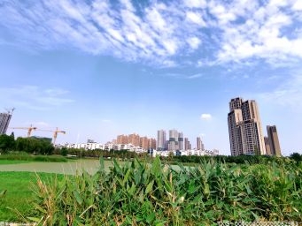 广东开展湿地公园建设和管理有了法规依据