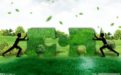 瞄准“双碳”目标  数字经济成绿色低碳发展新动能