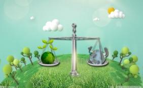 银行首度披露碳减排贷款信息 国有大行放款占比超七成