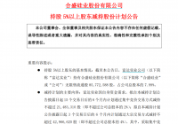 合盛硅业遭大手笔减持 富达实业近一年已套现约38.5亿元