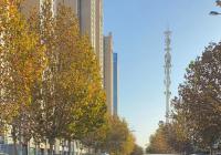 电子稳定系统供应不足  长城汽车2月份销量环比大降