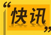 荣耀X8海外发布 采用6.7英寸LCD屏幕支持90Hz刷新率