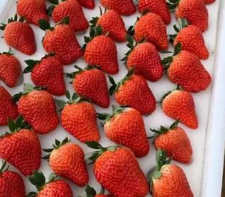 “丹东草莓”却从山东发货？买家购买到虚假宣传草莓如何维权