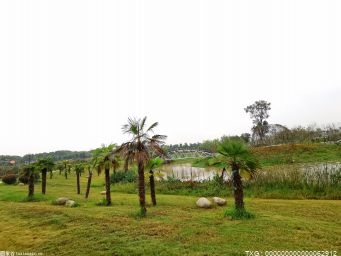 周边赏花、短途春游成主流 网红目的地热度大涨 