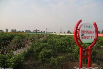 中国国中东部首个高温地热发电项目回灌试验井已成井