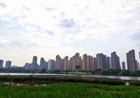 助力长江生态修复 泰州自然湿地保护率5年上升10%
