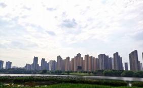 深圳啟動“公園城市”規劃 5年建成1238個公園