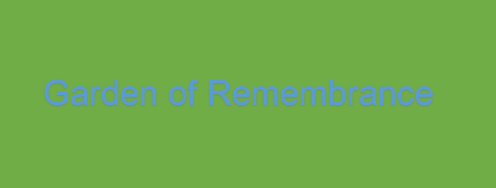 短篇动画《Garden of Remembrance》概念视觉图公开 预计将于2023年公开