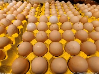 种蛋放了一个月还能孵出幼雏吗 种蛋的贮存方法有哪些