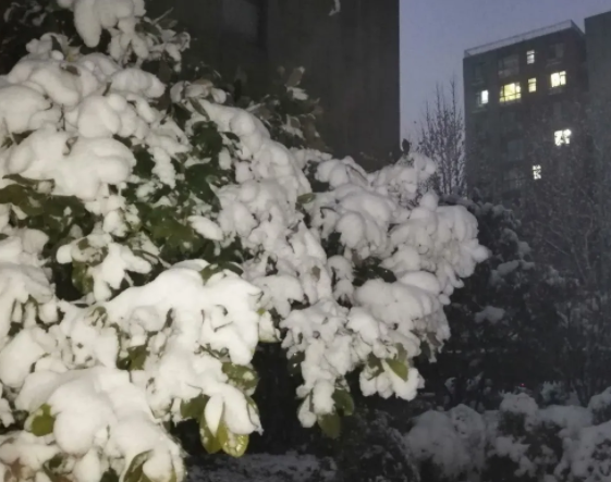 暴雪天气高铁会不会停运？高铁暴雪天气会降速吗？